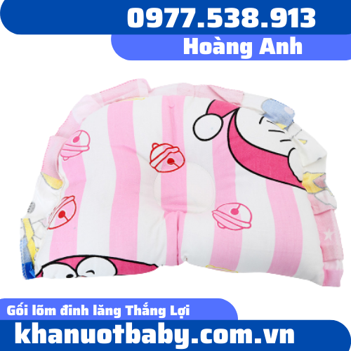 Gối lõm đinh lăng Thắng Lợi